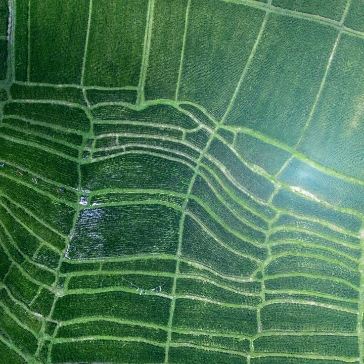 Entertainment zone at night in United Kingdom